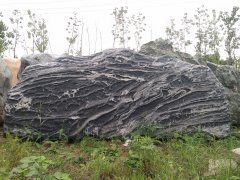 新到泰山石10_重慶星琳景觀石材有限公司